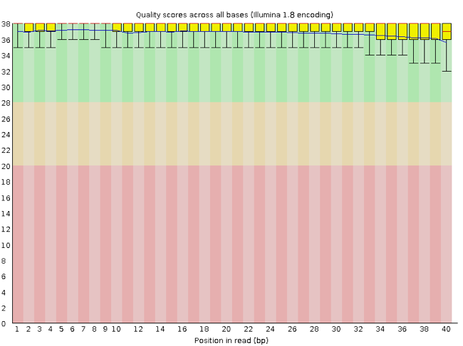 A FastQC output showing reads with good quality