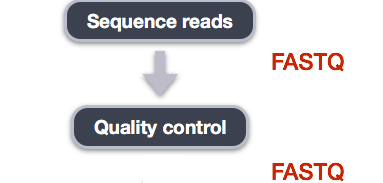 Quality control workflow